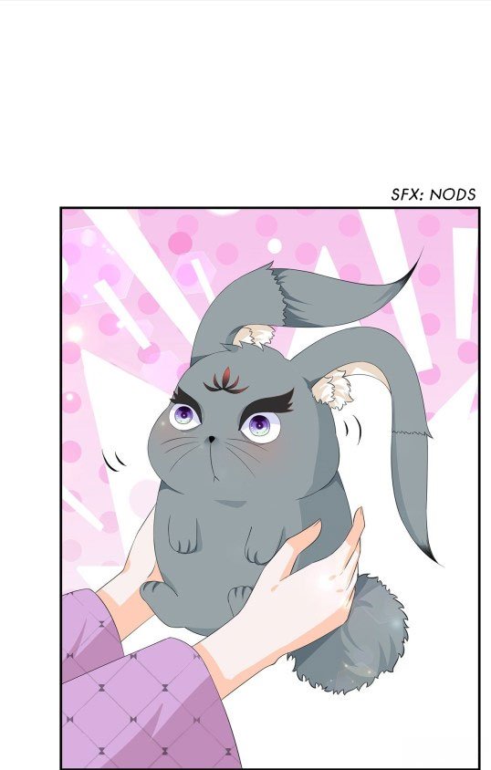 Page 3 of Chapter 63.5