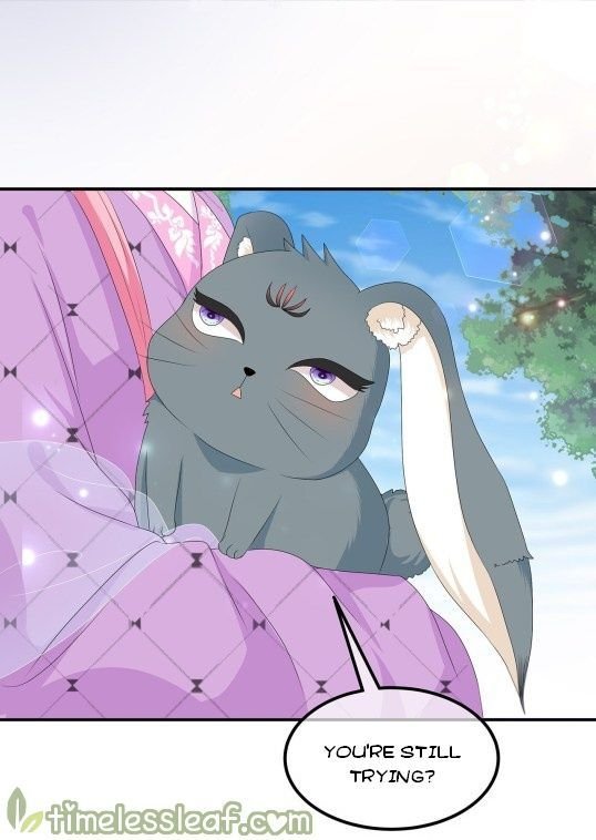 Page 13 of Chapter 68