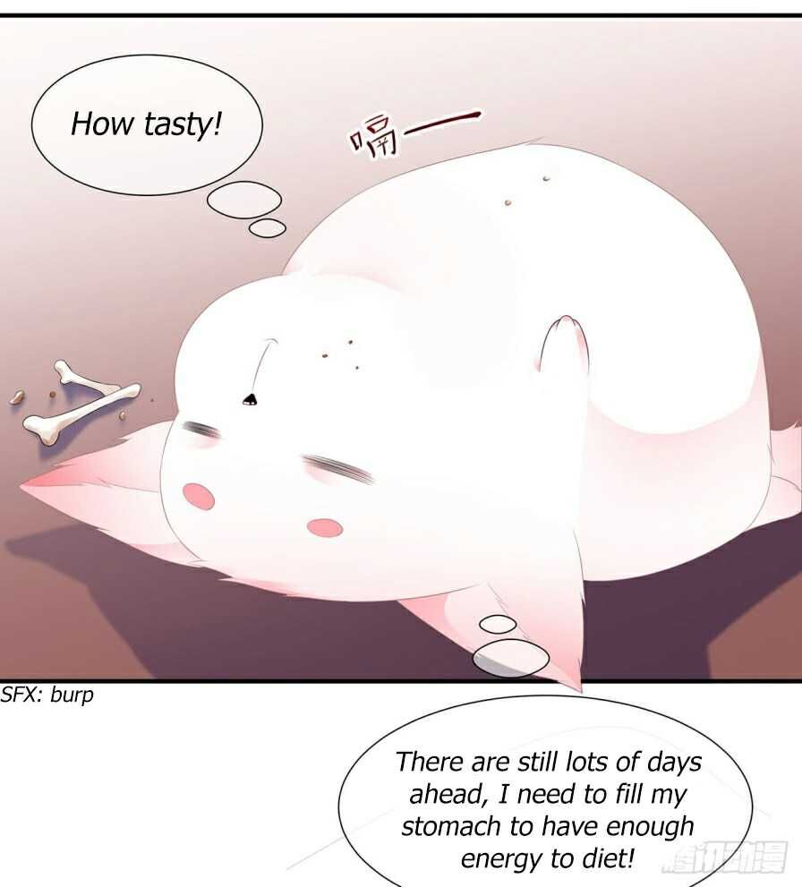 Page 11 of Chapter 7.5
