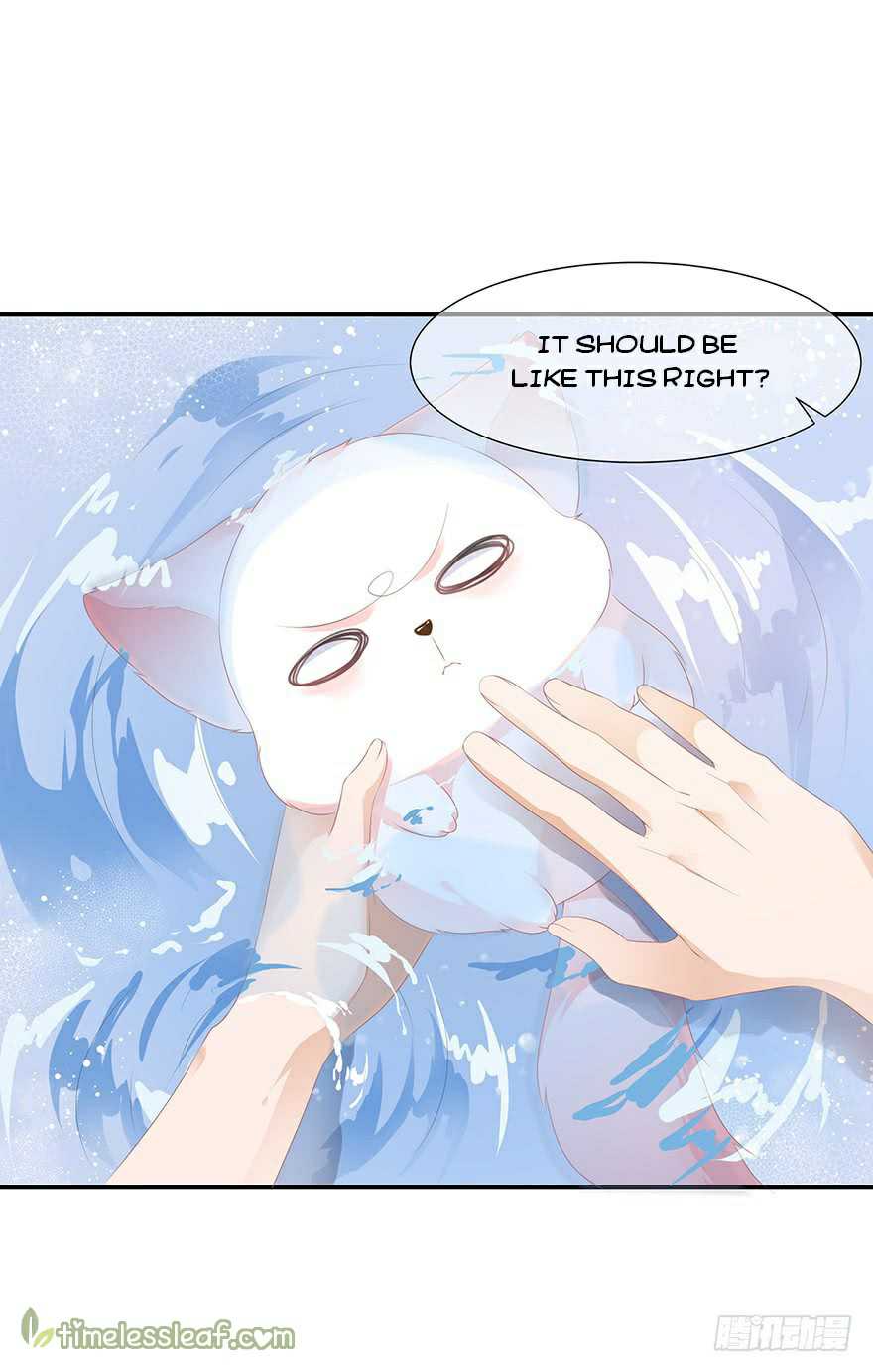 Page 1 of Chapter 8.5