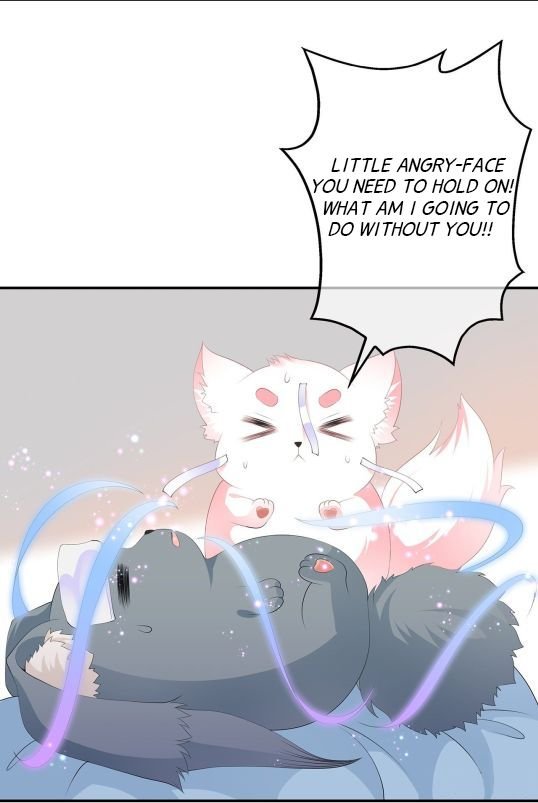 Page 16 of Chapter 85.5