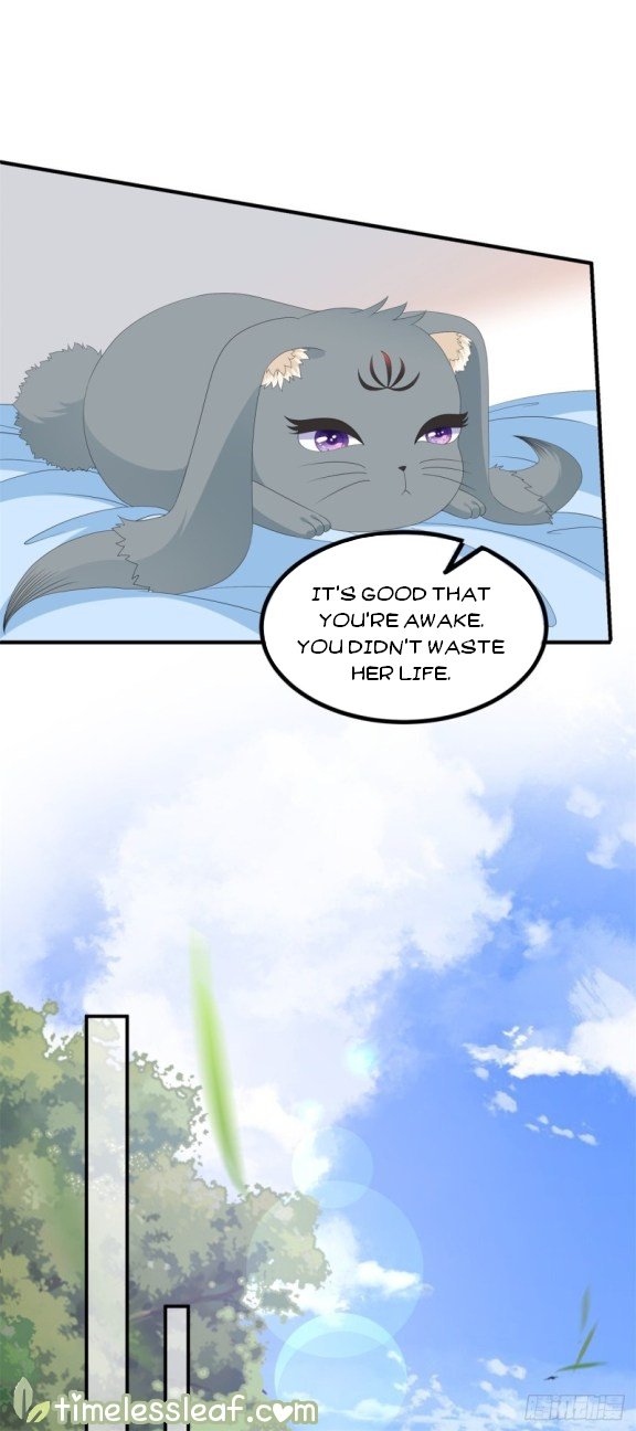 Page 3 of Chapter 91