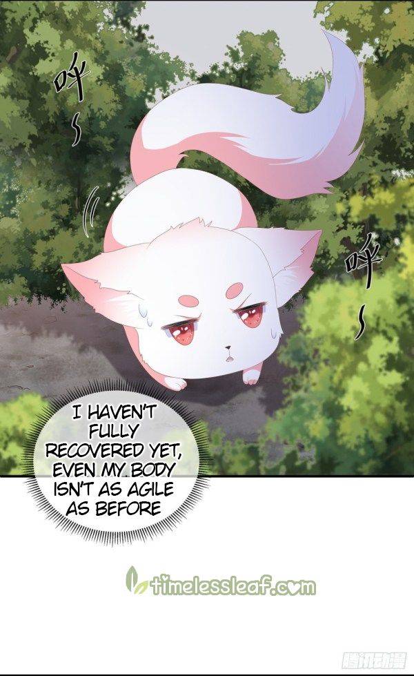 Page 12 of Chapter 96