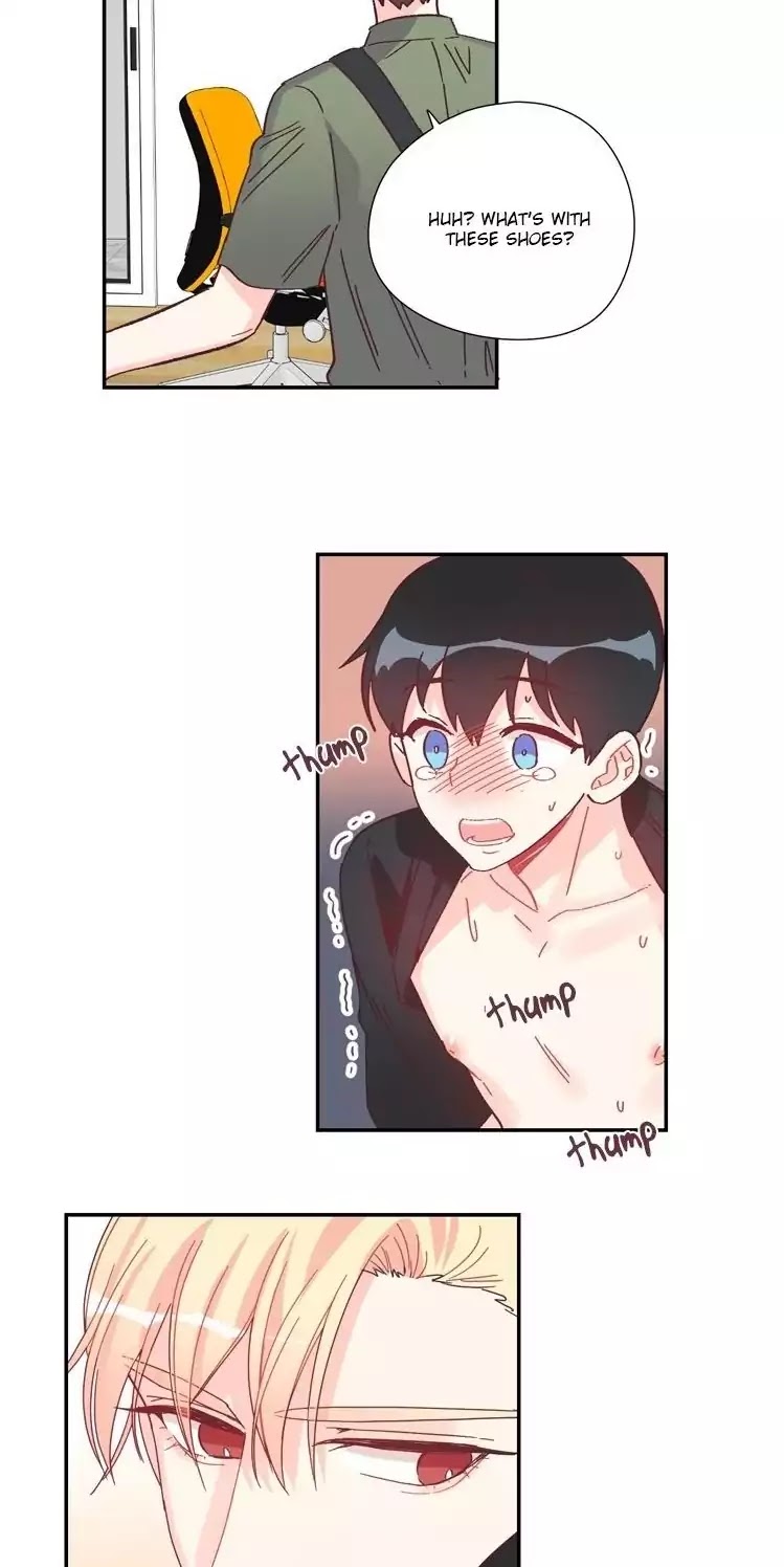 Page 19 of Chapter 38