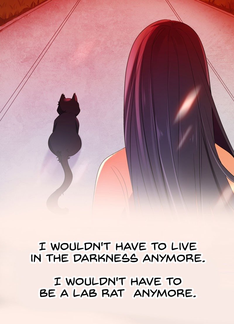 Page 5 of Chapter 0