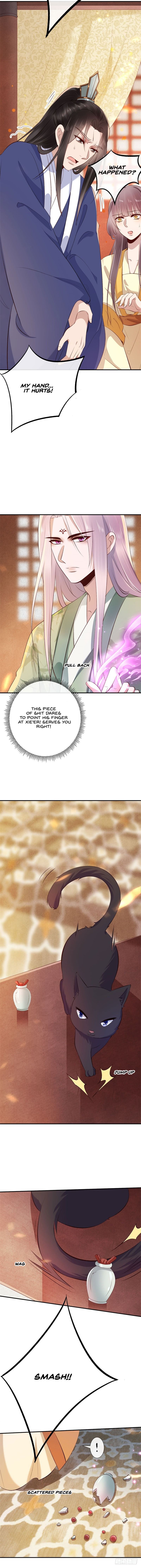 Page 6 of Chapter 17