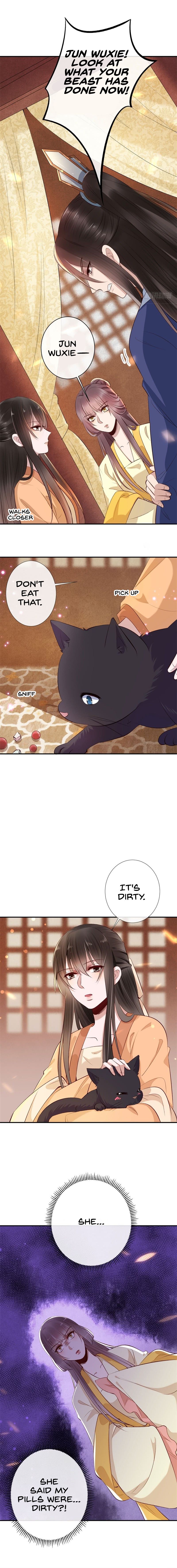Page 7 of Chapter 17