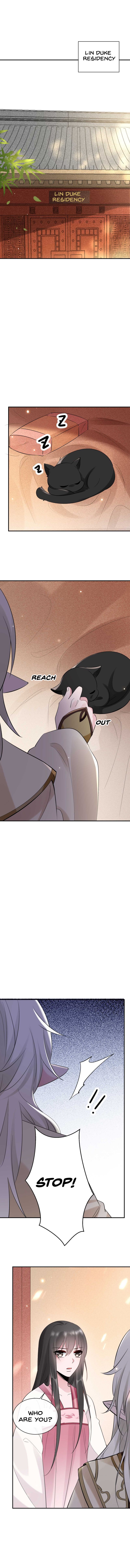 Page 6 of Chapter 33