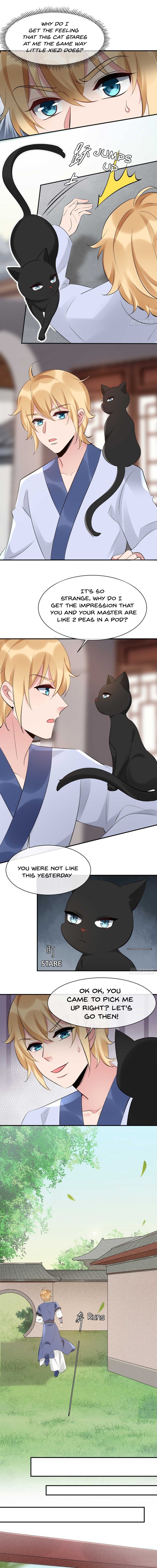Page 4 of Chapter 71