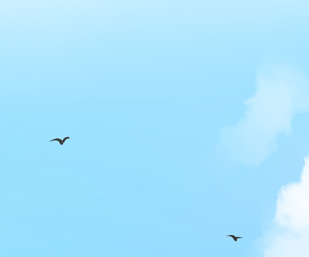 Page 48 of Chapter 13