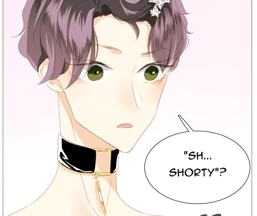 Page 17 of Chapter 14