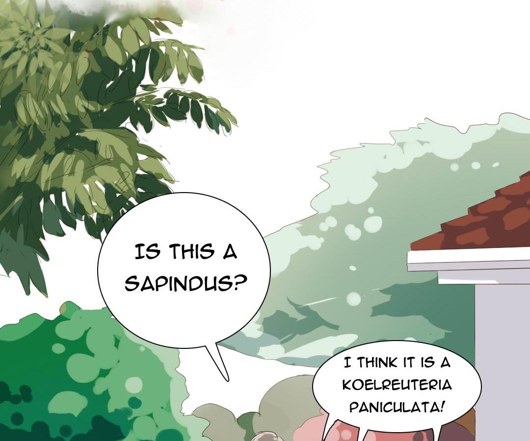 Page 1 of Chapter 19