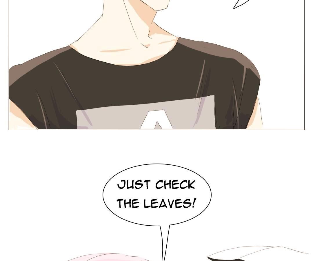 Page 4 of Chapter 19
