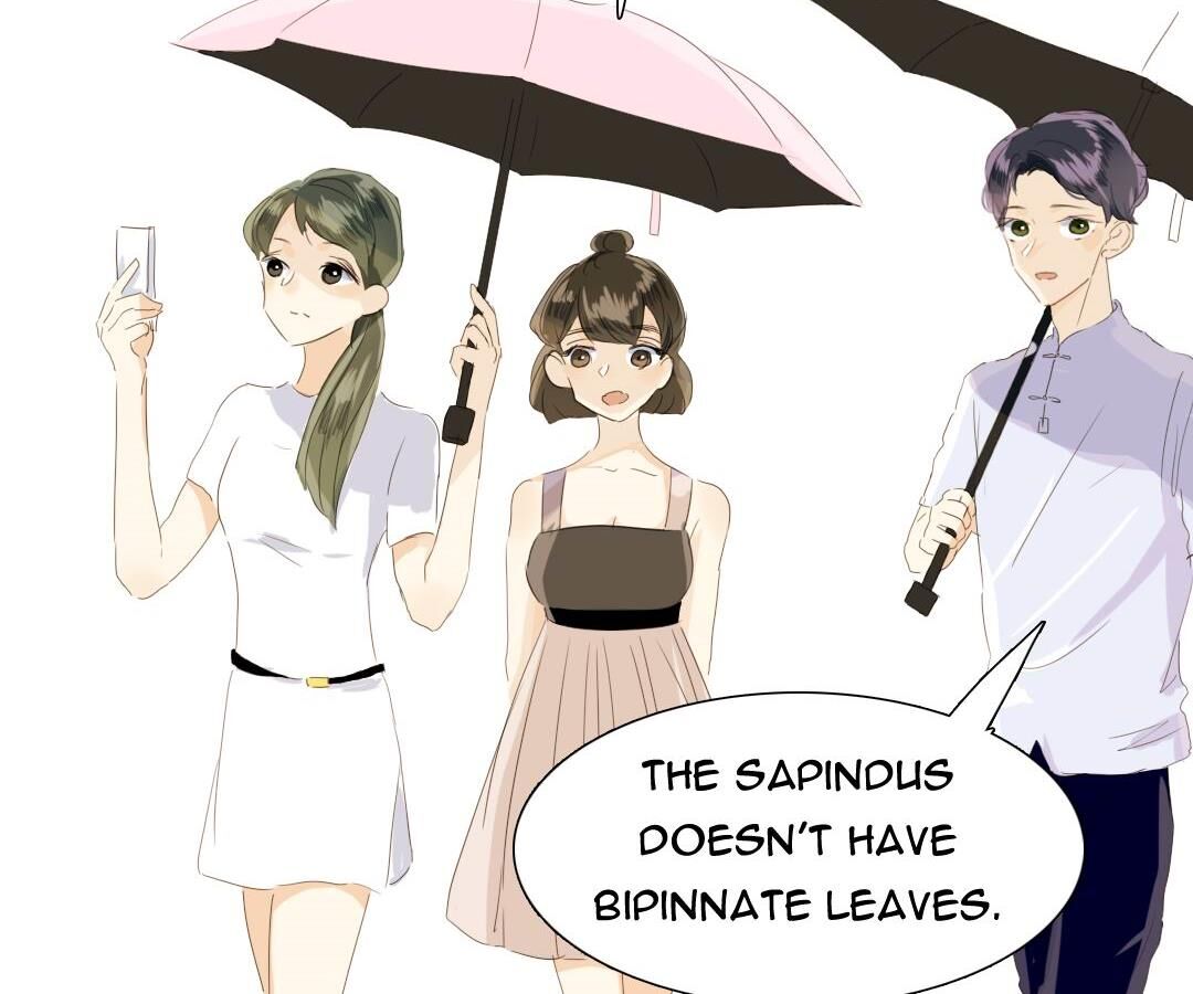 Page 5 of Chapter 19