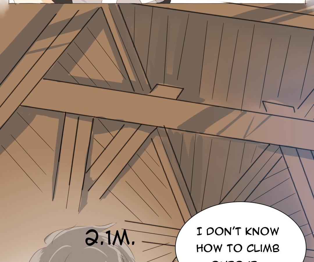 Page 17 of Chapter 19