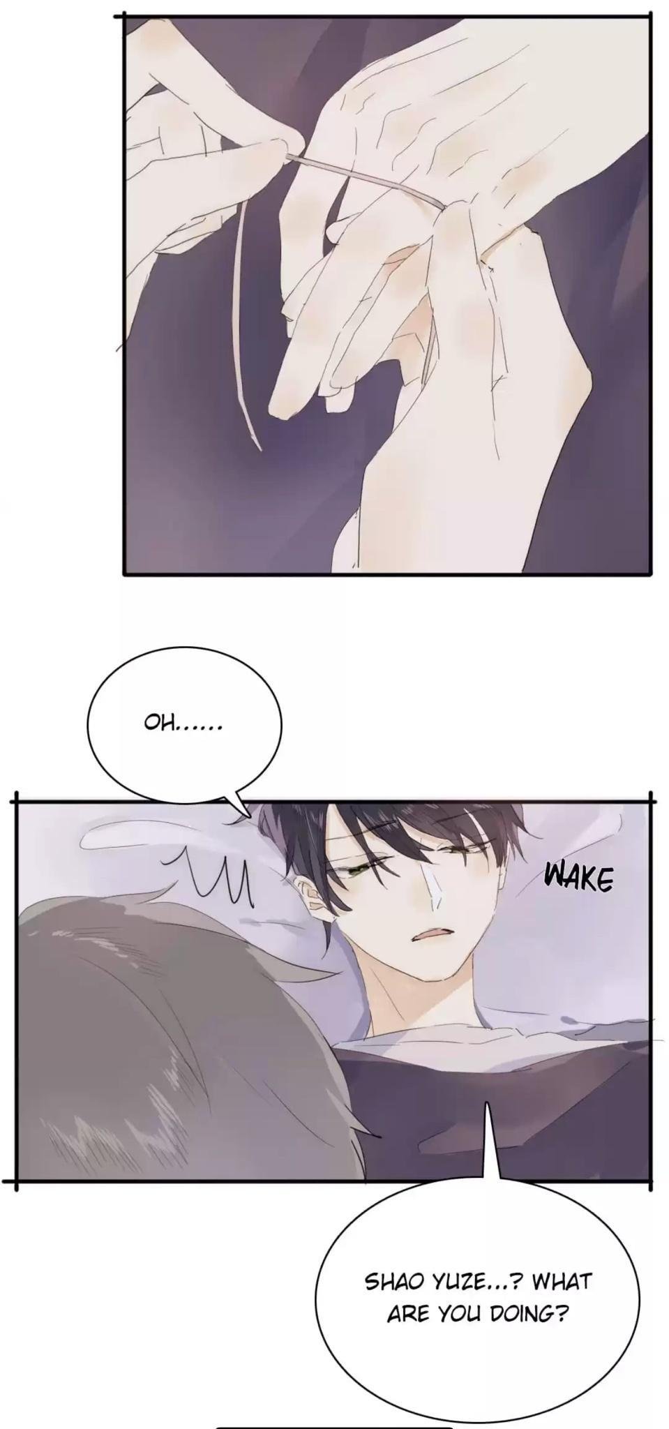 Page 23 of Chapter 196
