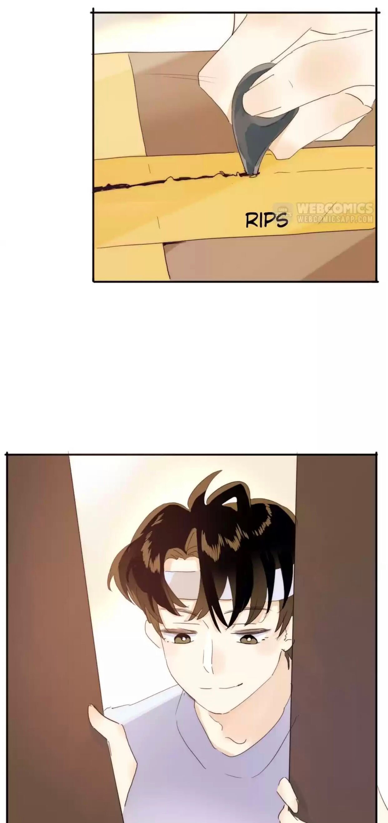 Page 5 of Chapter 203