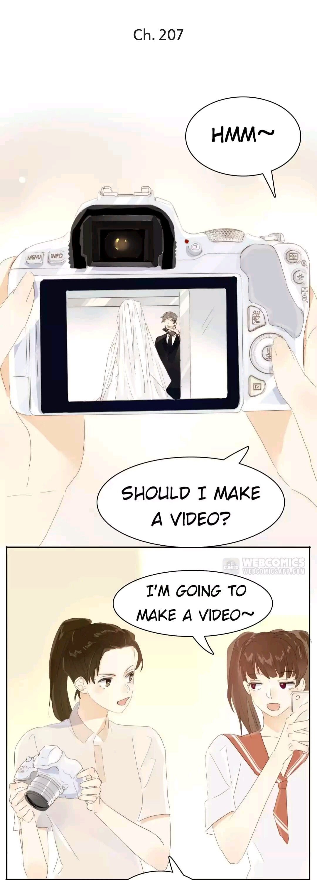 Page 2 of Chapter 207