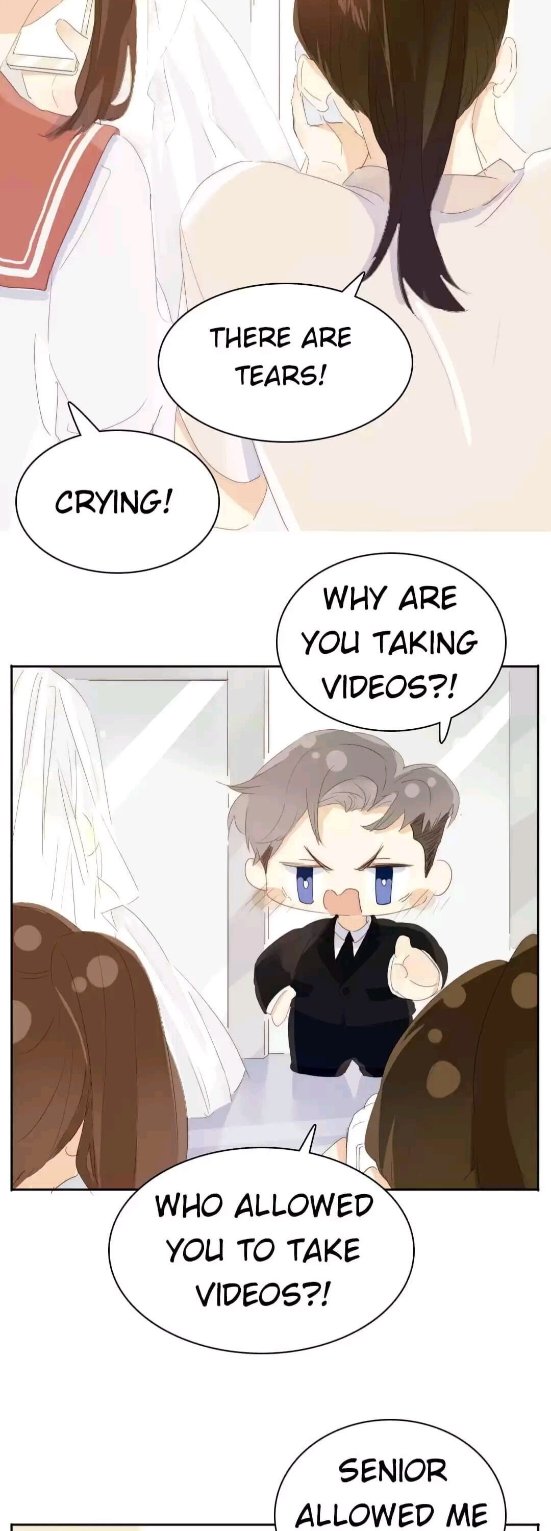 Page 4 of Chapter 207