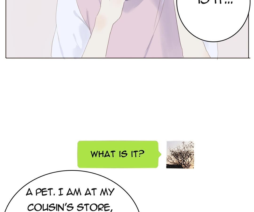 Page 11 of Chapter 36