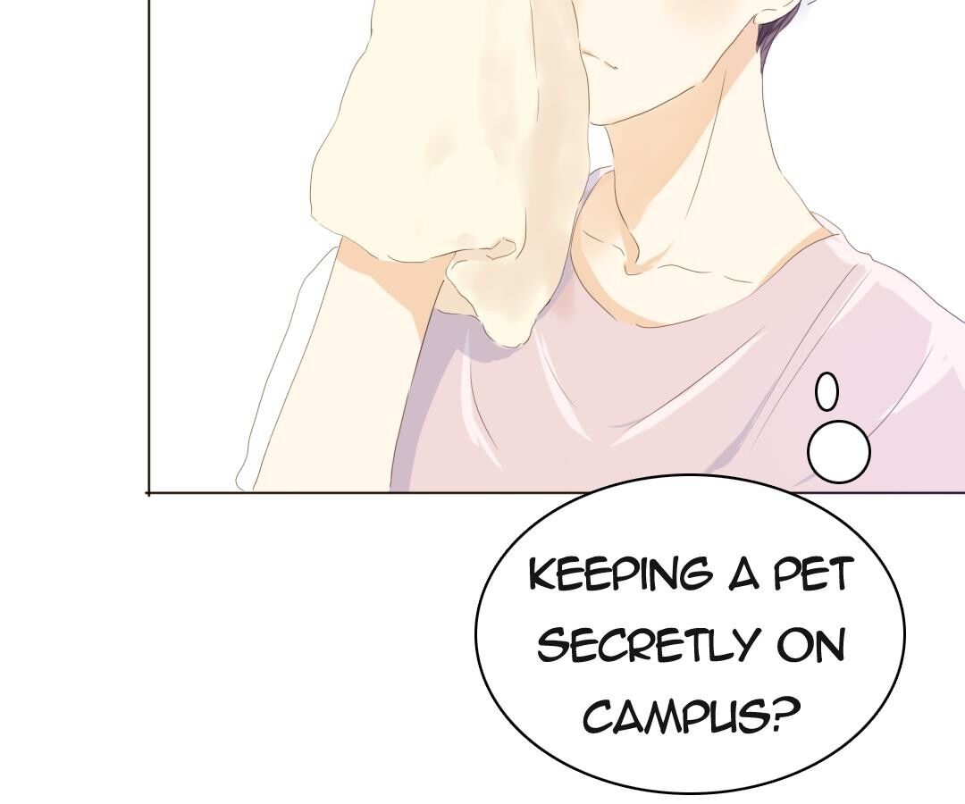 Page 15 of Chapter 36