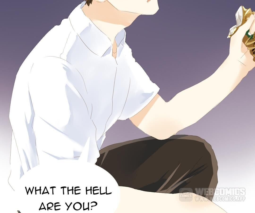 Page 14 of Chapter 49