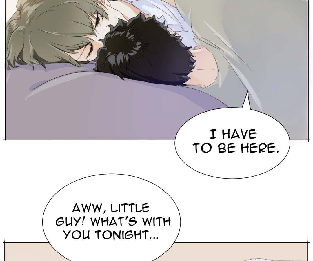 Page 21 of Chapter 84