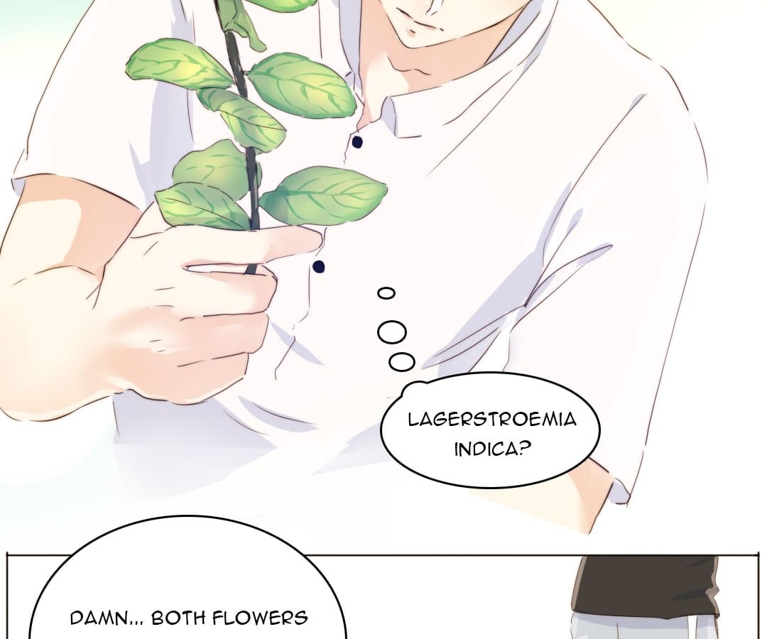 Page 5 of Chapter 91