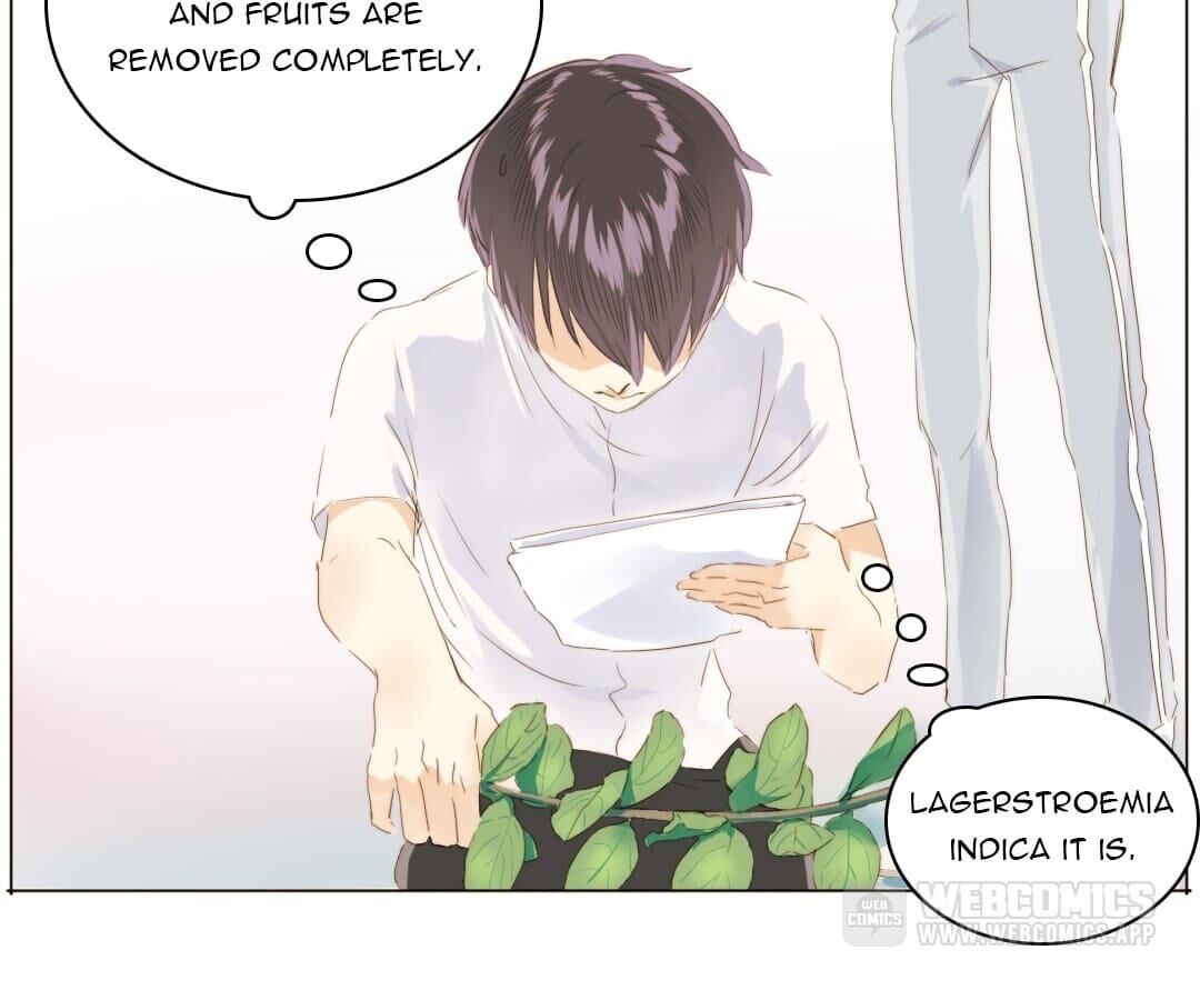 Page 6 of Chapter 91