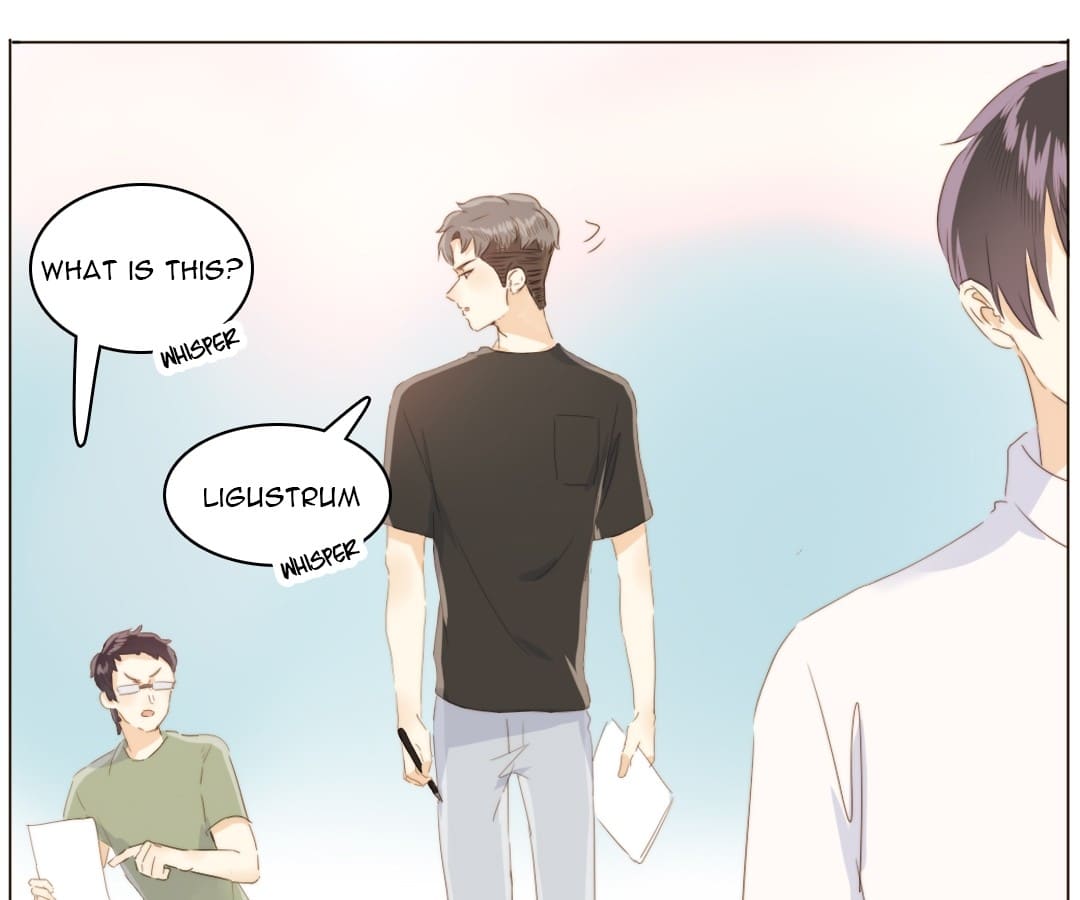 Page 13 of Chapter 91