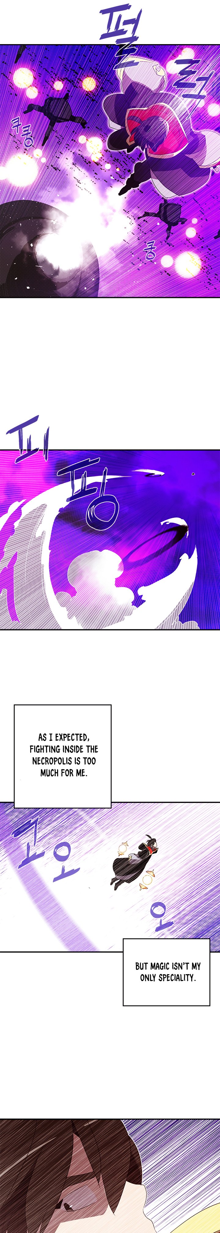 Page 17 of Chapter 96
