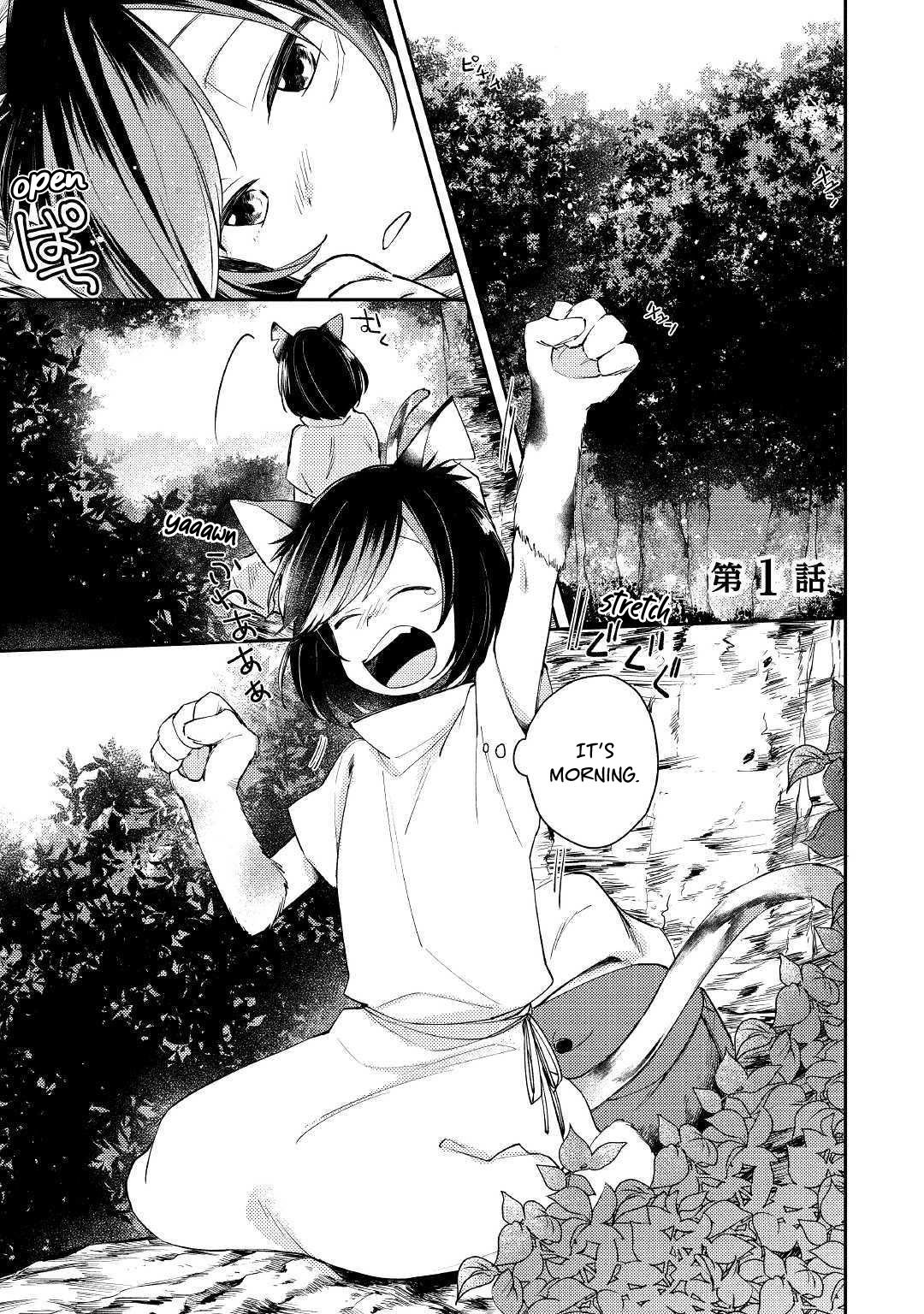 Page 1 of Chapter 1