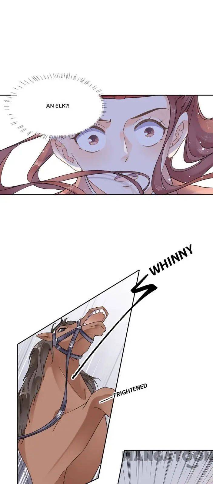 Page 13 of Chapter 95