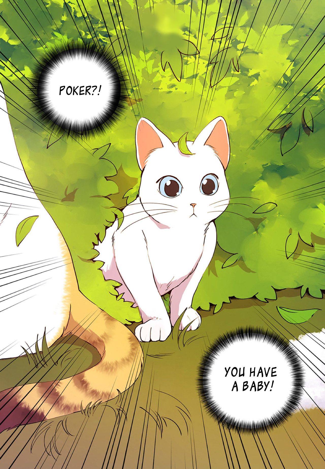 Page 12 of Chapter 5
