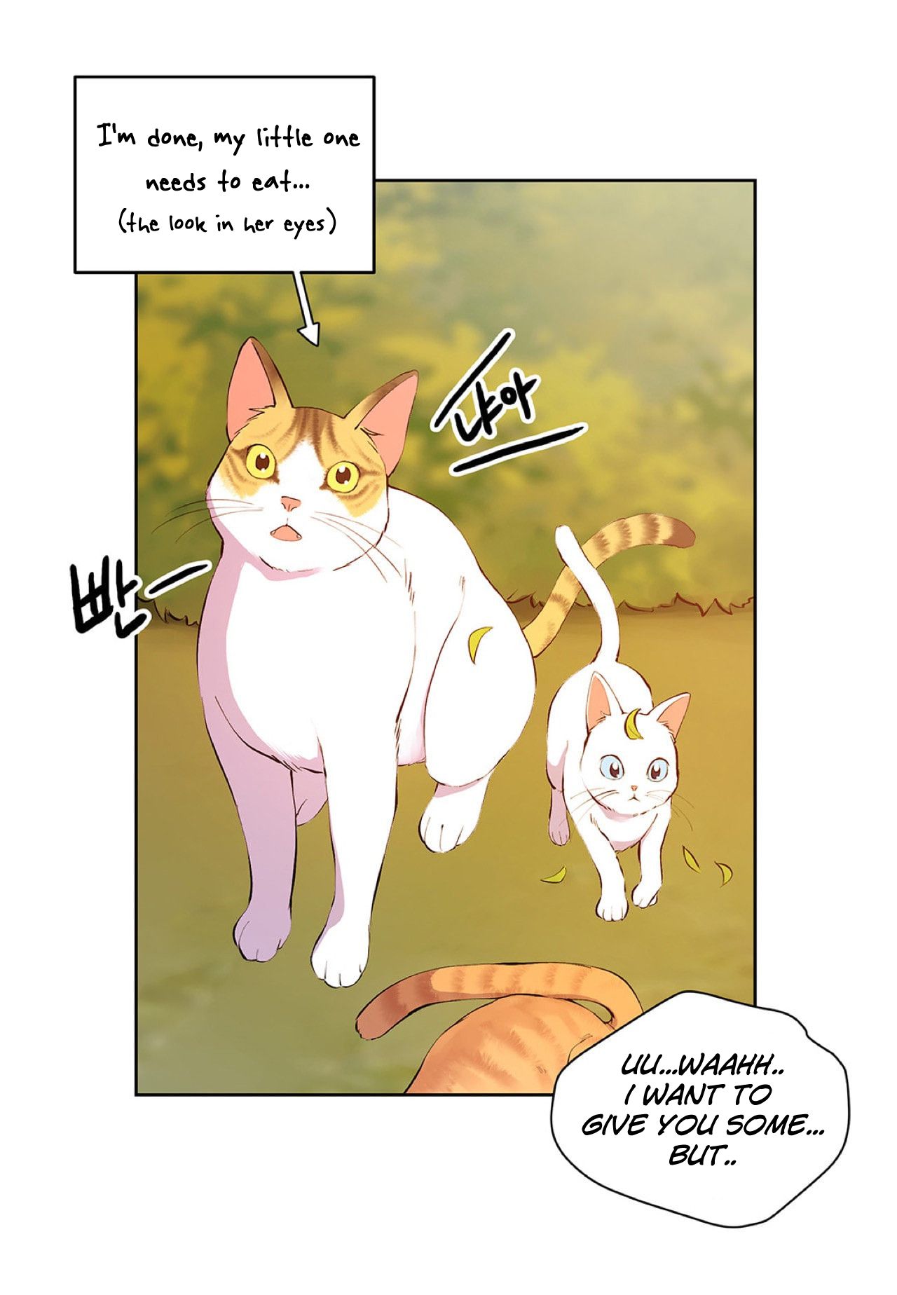 Page 13 of Chapter 5