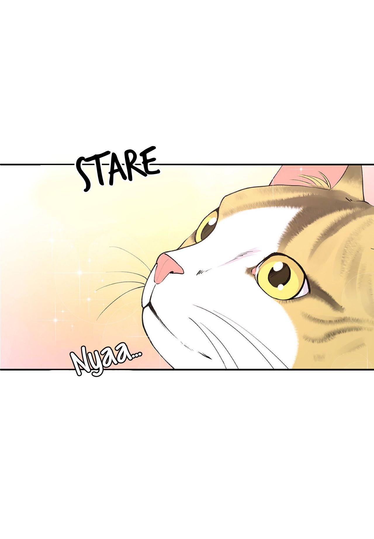 Page 14 of Chapter 5