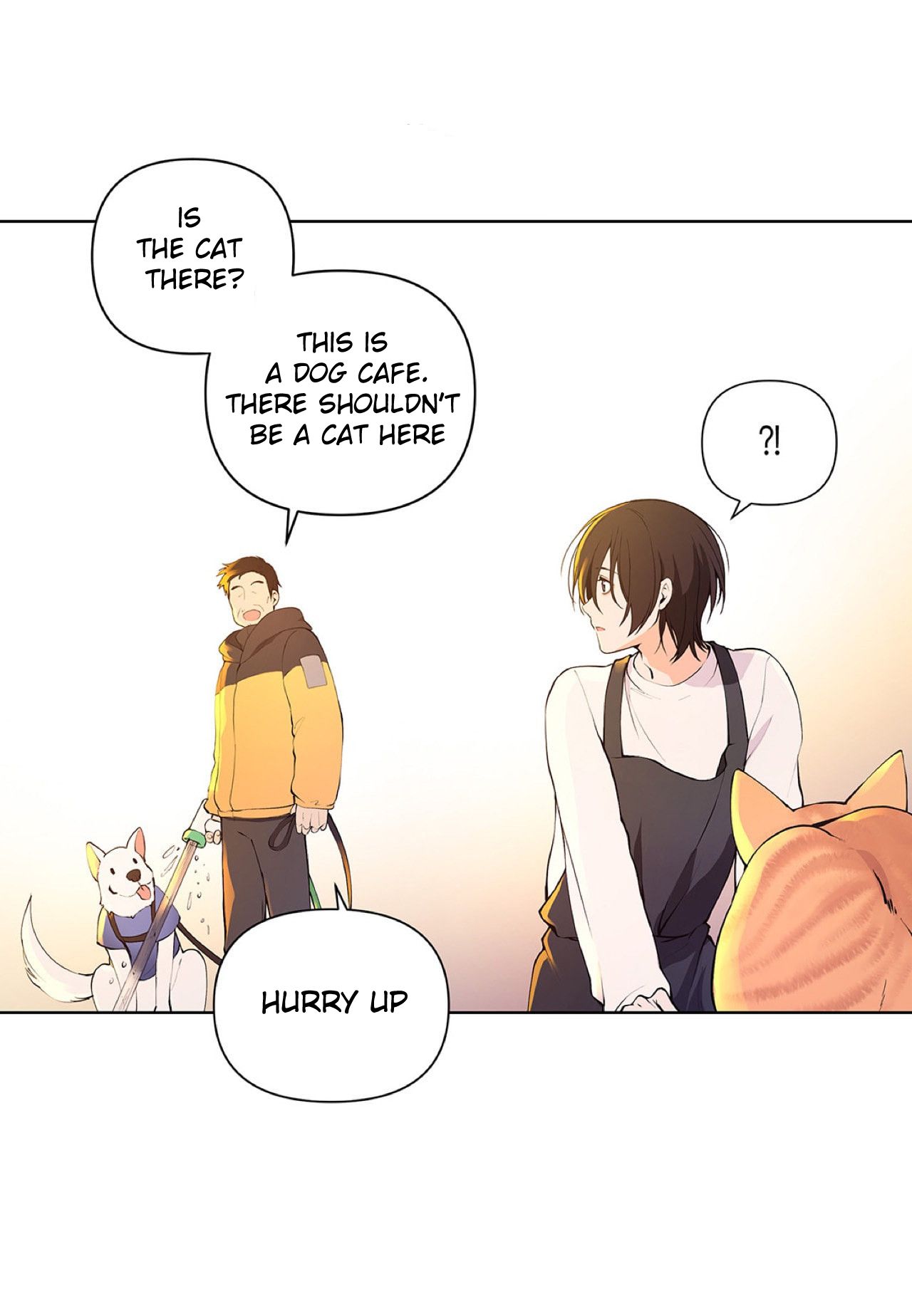 Page 17 of Chapter 5
