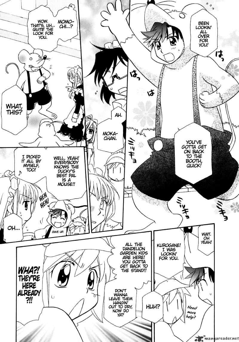 Page 17 of Chapter 31
