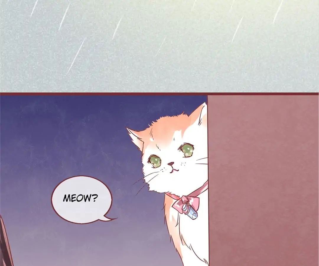 Page 146 of Chapter 1