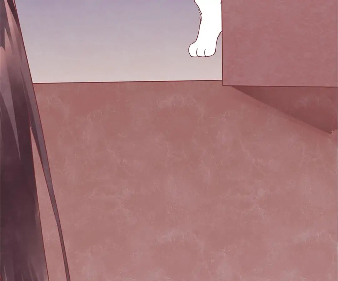 Page 147 of Chapter 1