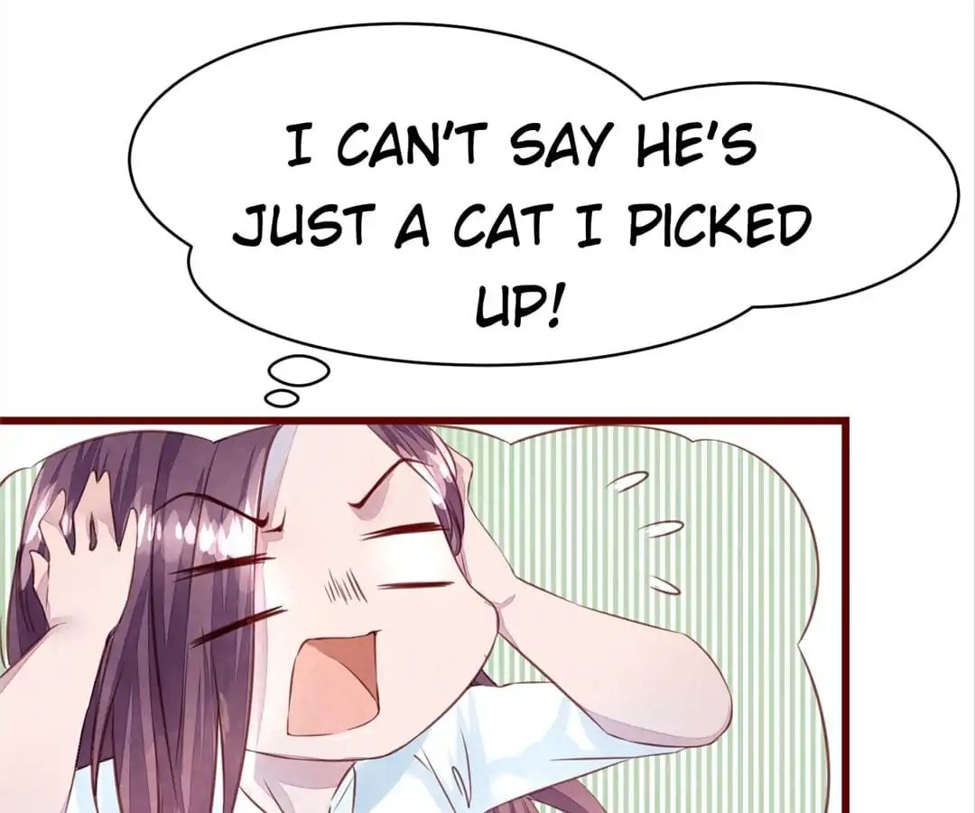 Page 52 of Chapter 11