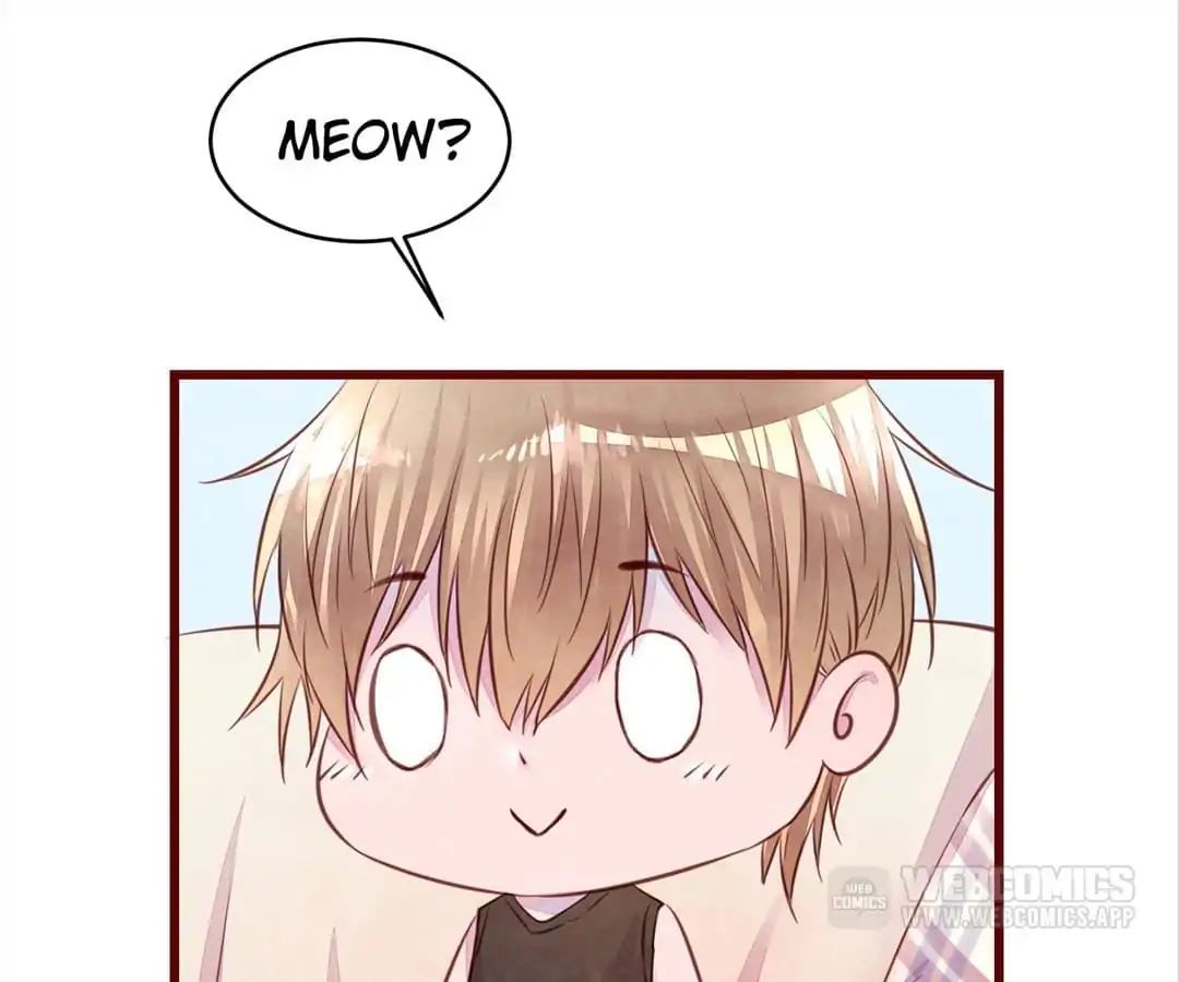 Page 58 of Chapter 14