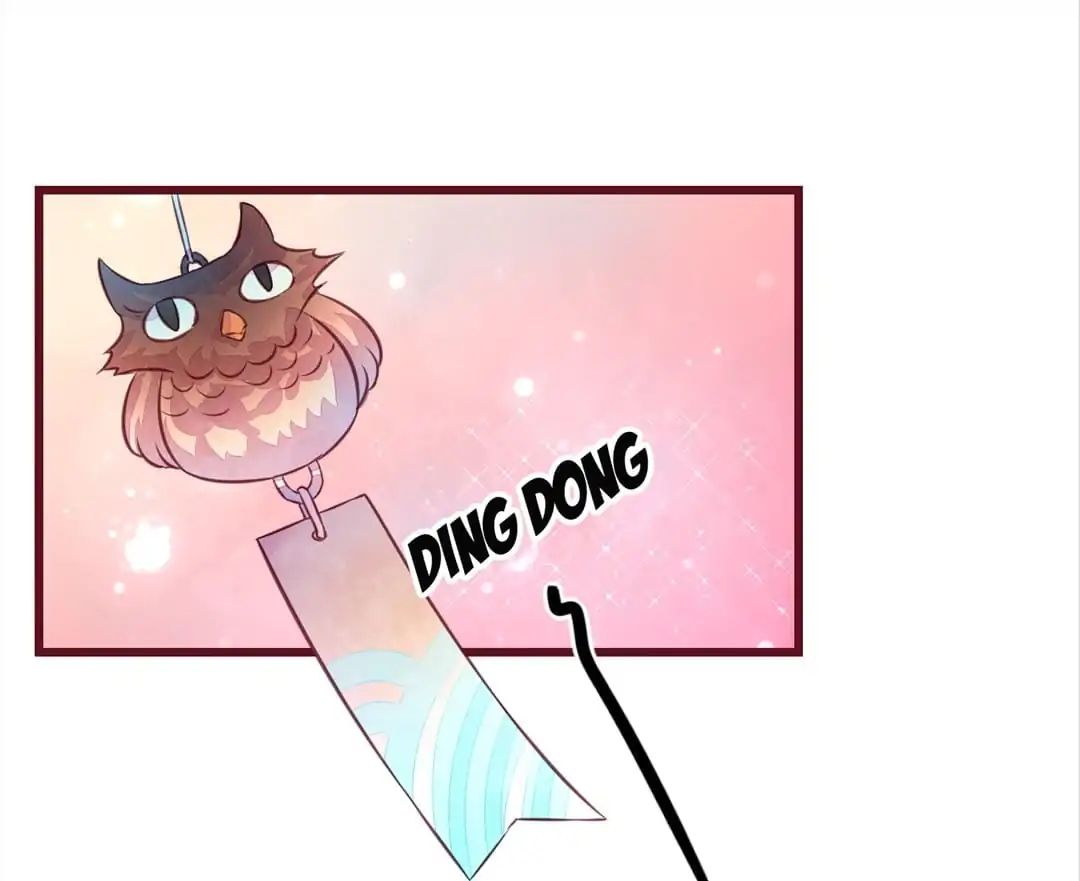 Page 41 of Chapter 19