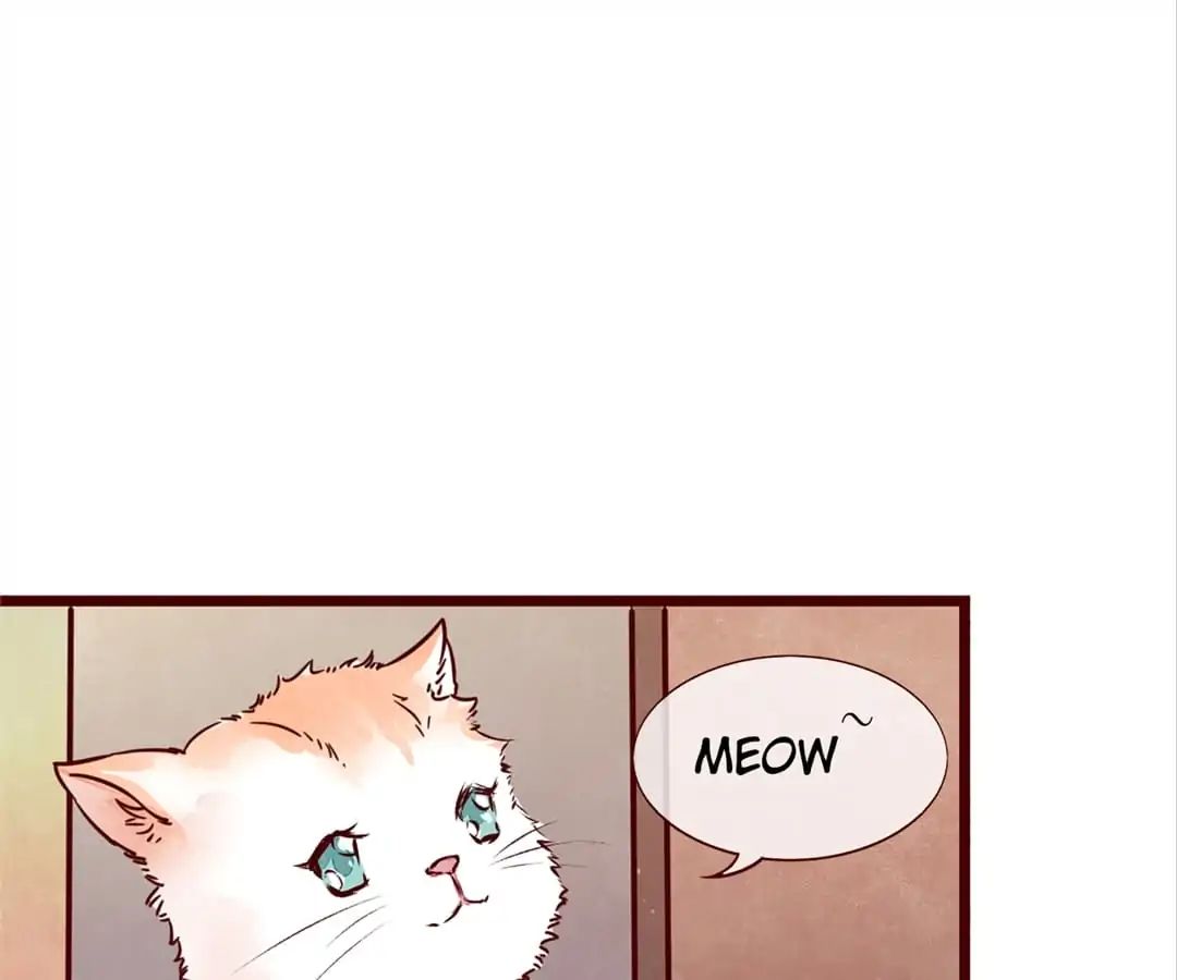 Page 85 of Chapter 2