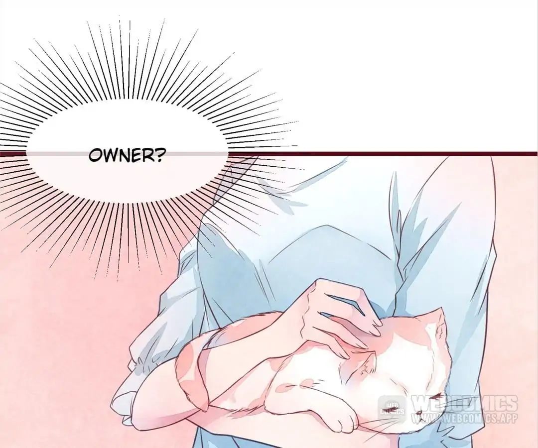 Page 26 of Chapter 27