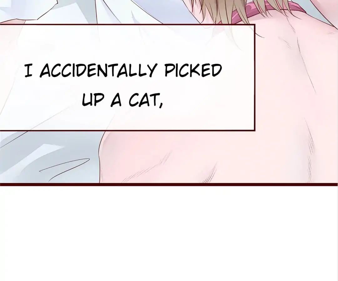 Page 52 of Chapter 3