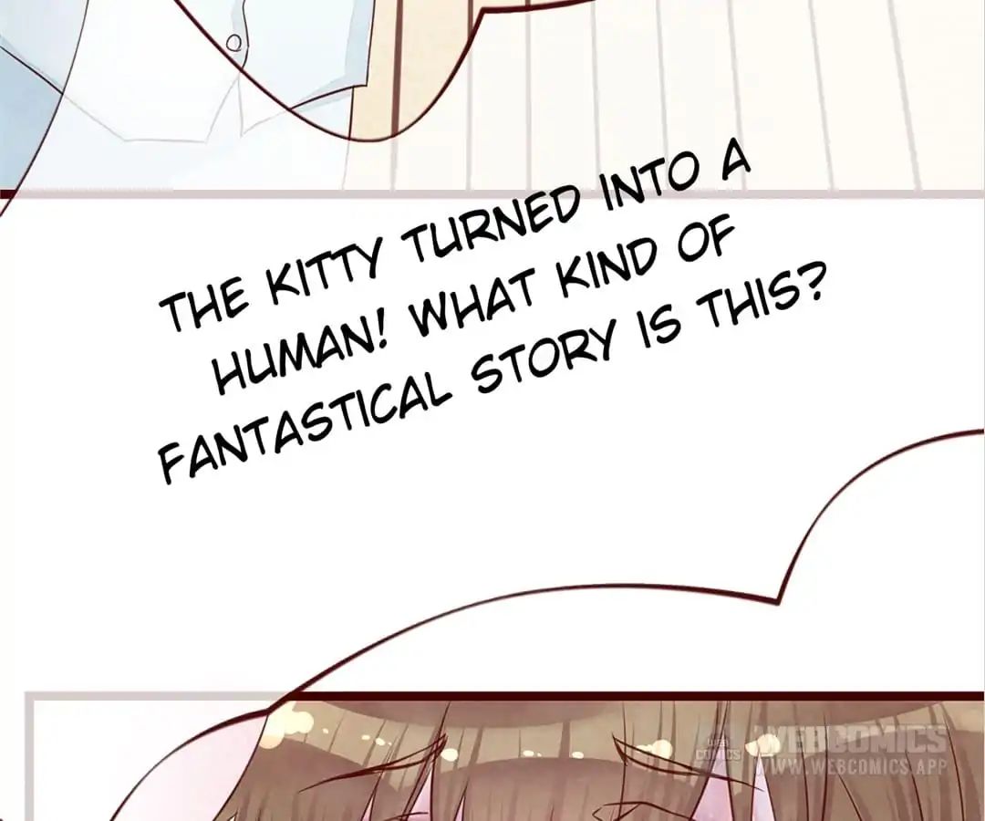 Page 66 of Chapter 3