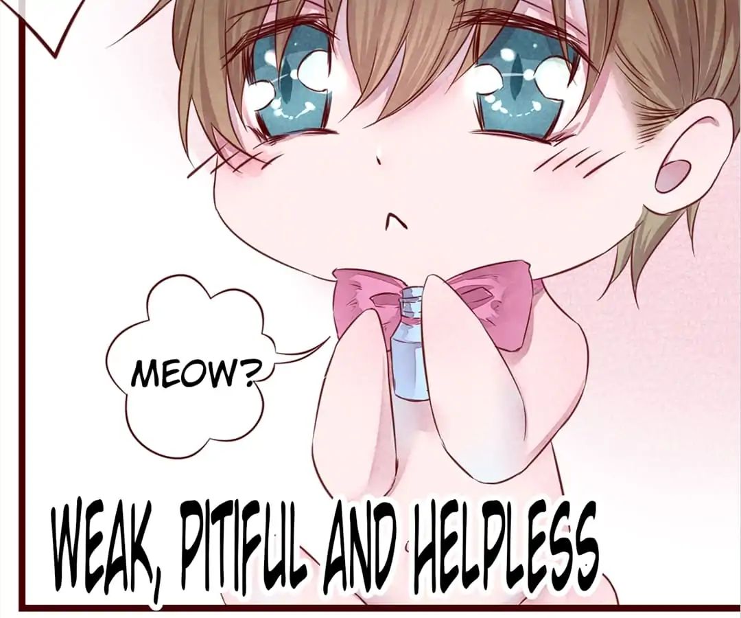 Page 67 of Chapter 3
