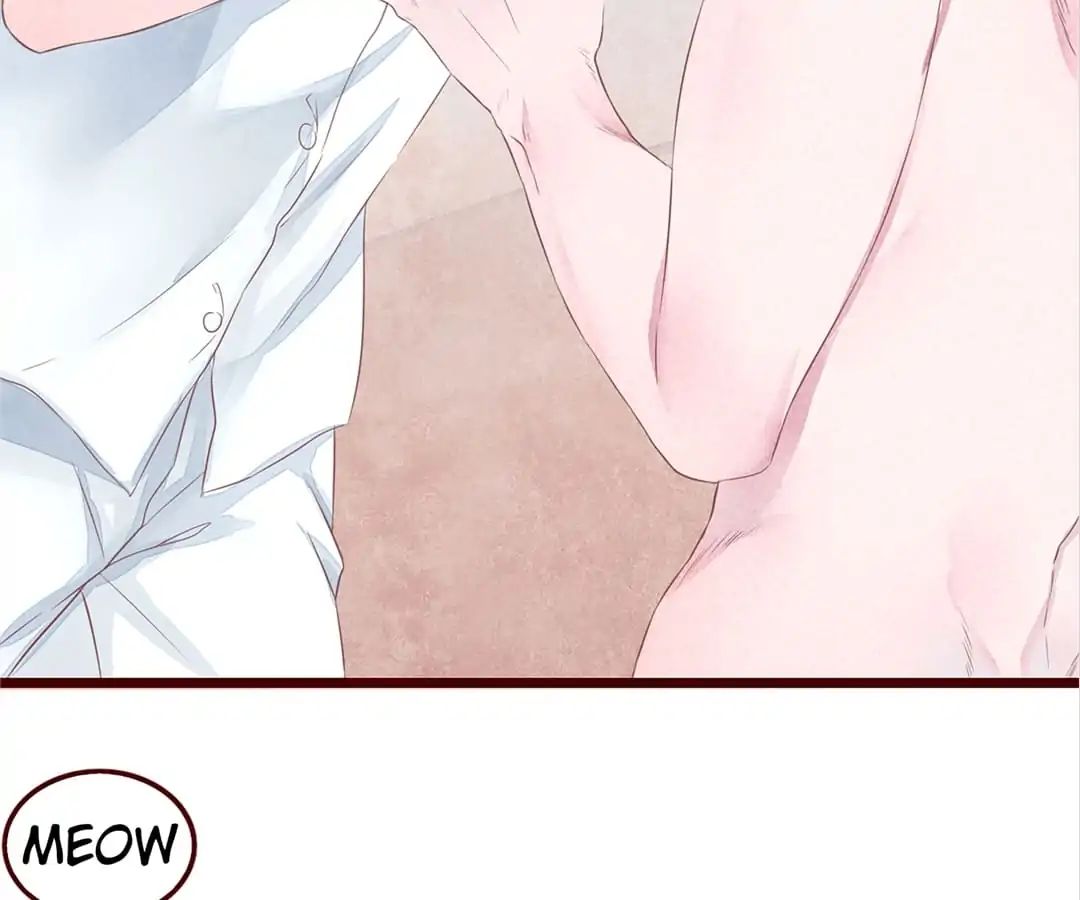 Page 81 of Chapter 3