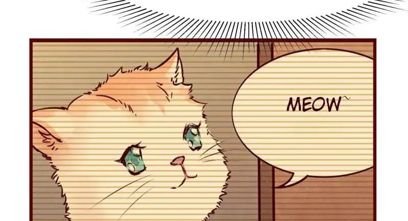 Page 20 of Chapter 31
